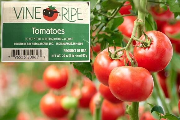 Recalled fresh tomatoes on grocery store shelf