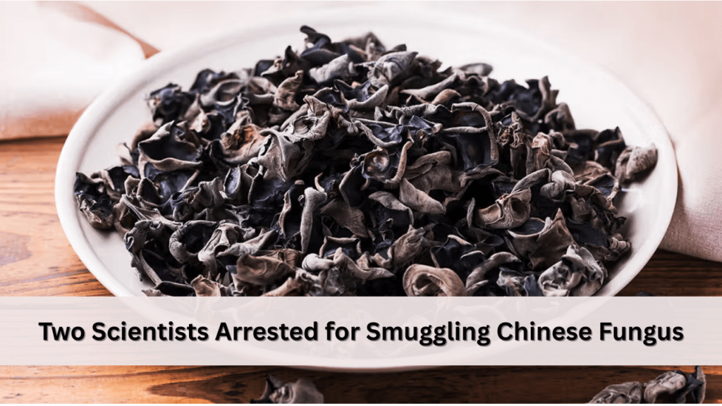 two scientists arrested for smuggling chinese fungus into u.s